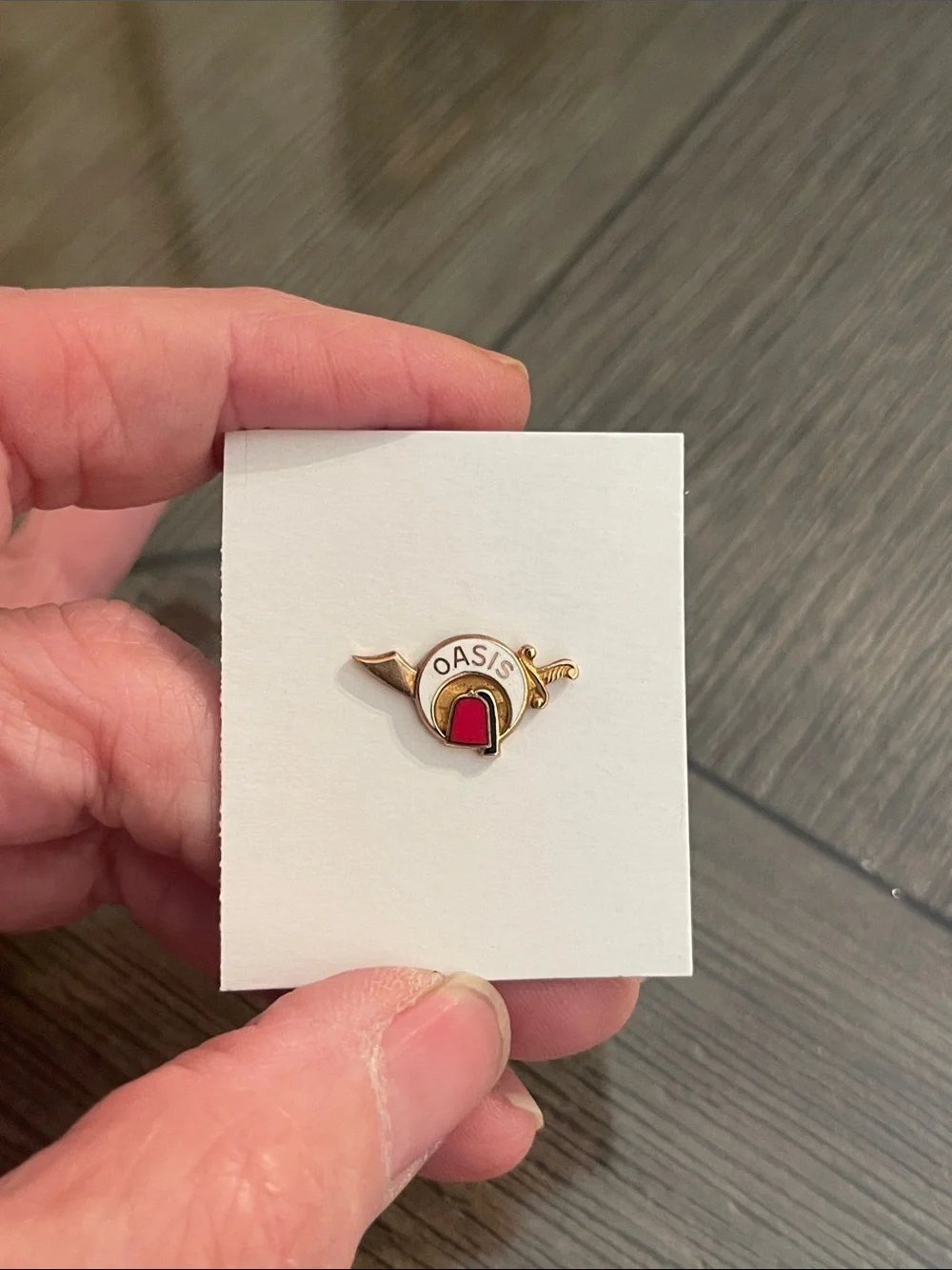 Vintage Masonic Shriners OASIS Gold-tone & Enamel Lapel Pin